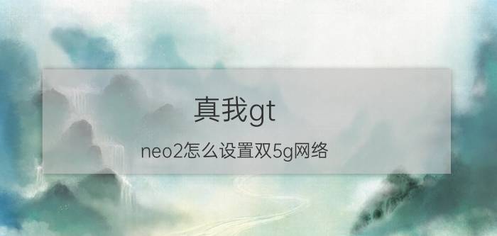 真我gt neo2怎么设置双5g网络